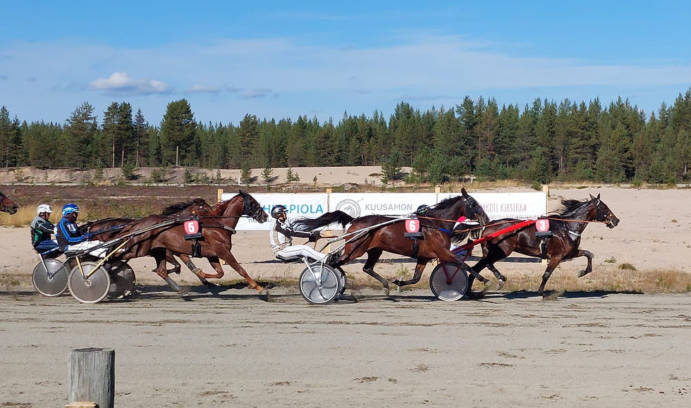 Bergbacka (in white silks) competing in a trotting race.