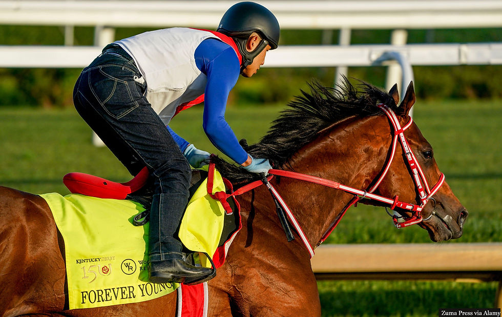 Japan's Forever Young, pictured here during preparation for the 2024 Kentucky Derby, will join eight other runners for the 30th Dubai World Cup on March 28th at Meydan.