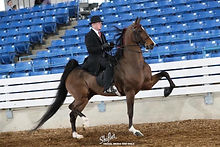 bentley and reese.JPG