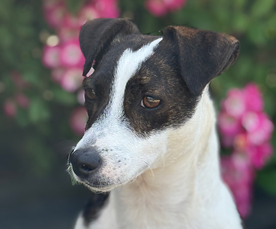 IMG_8555.heic