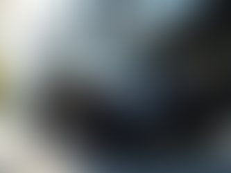 Unveiling the Value of Premium Travel Benefits