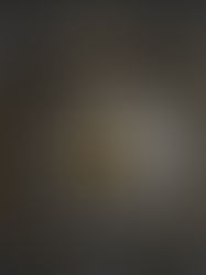 Rhythmic Life - The Power that Restores Everything