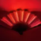 LED Fan