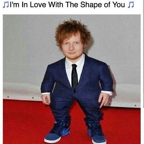 mdget.jpg