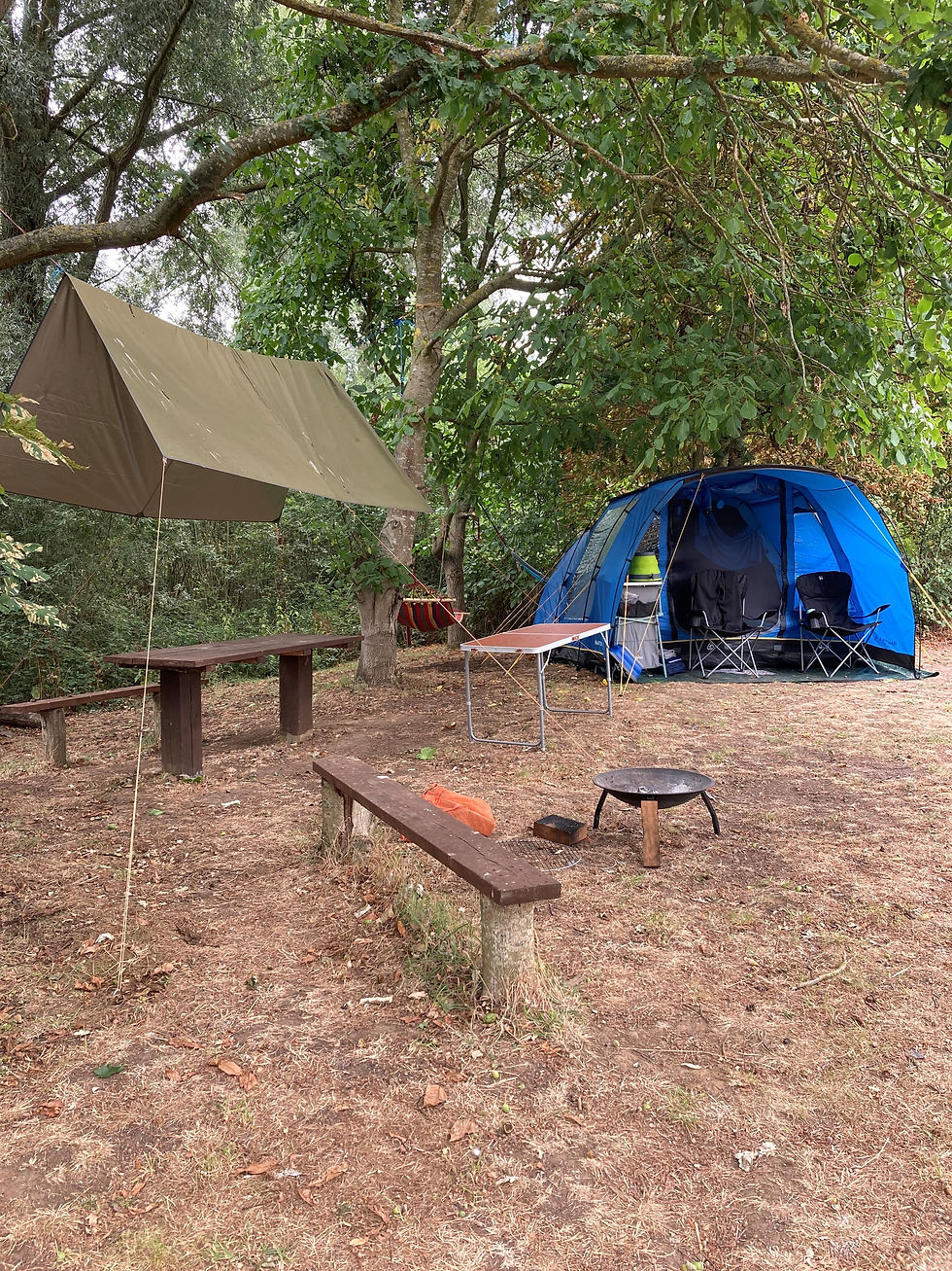 Shelter Pitch 1