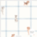 Papel de Parede Xadrez Cachorrinhos - PAPCAA439M