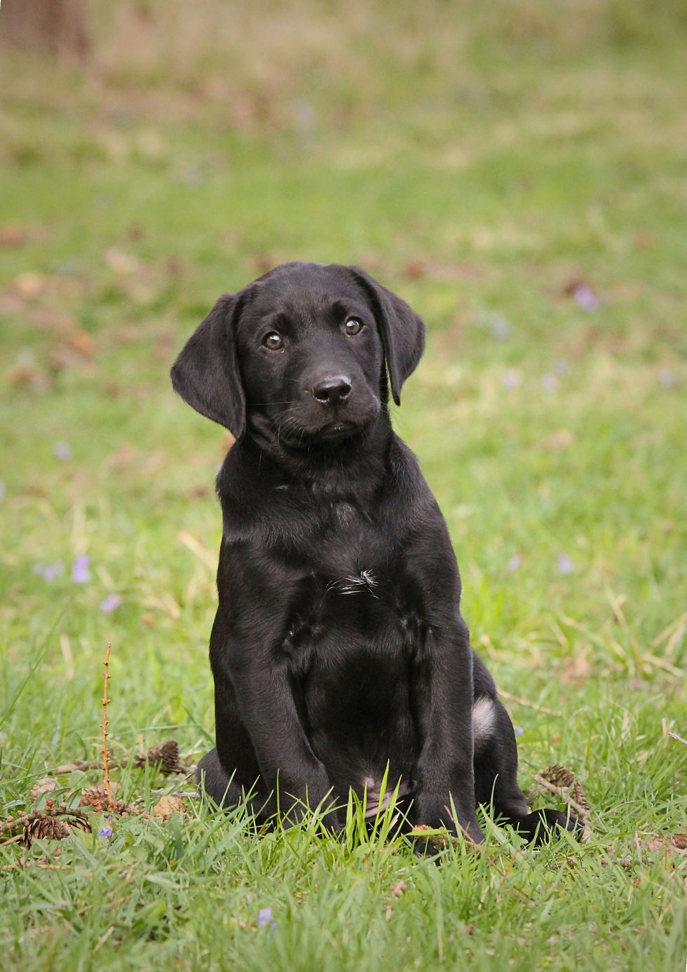 9 weeks