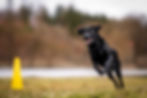 DSC07372-Edit-2