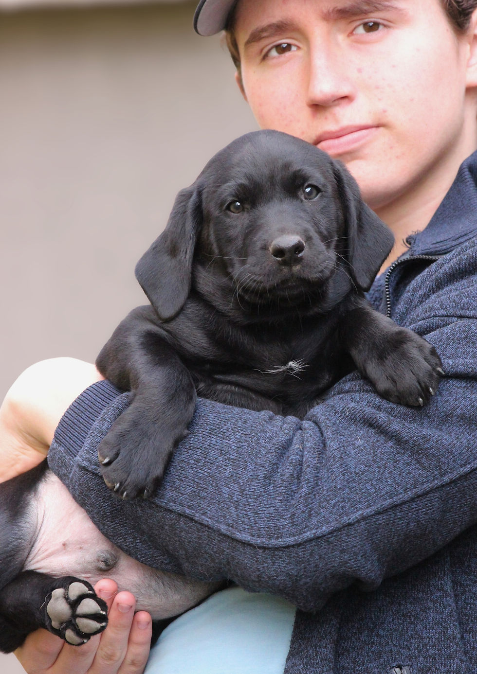 8 weeks