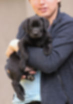 8 weeks