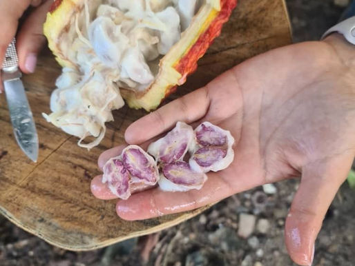 Cacao prices that make a difference