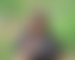 Native Plant Sale & Habitat Restoration