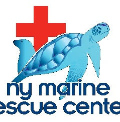 Logo of NY Marine Rescue Center, which is of a sea turtle and seal illustration in front of a red cross.