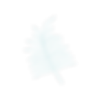 Blue%20Leaf%20Transp_edited.png