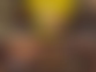 Un atelier apéro locavore + soja