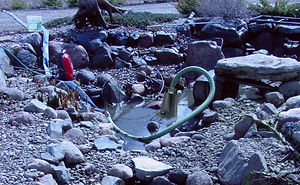 little giant clean out pump optimized.jp