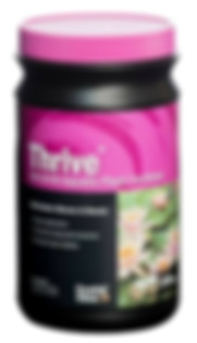 thrive aquatic plant fertilizer