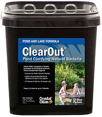 crystalclear-clearout-6pound-1000.jpeg