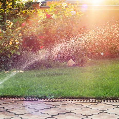 green-grass-being-watered-with-automatic-sprinkler-2022-01-30-08-59-35-utc.jpg