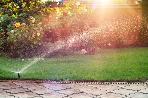 green-grass-being-watered-with-automatic-sprinkler-2022-01-30-08-59-35-utc.jpg