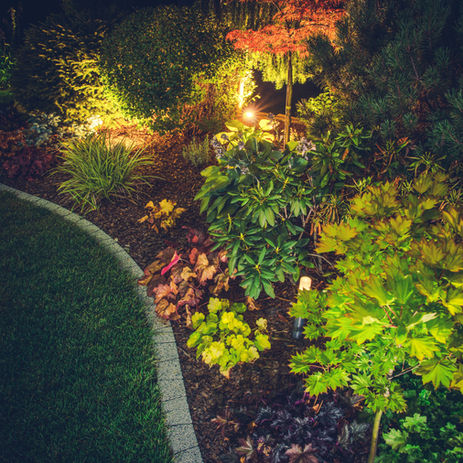 illuminated-backyard-garden-2021-08-26-23-04-37-utc.jpg