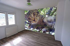 wall-interior-scrattlepuss.jpeg