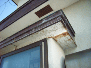 sindan-018.gif