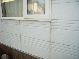 sindan-020.gif