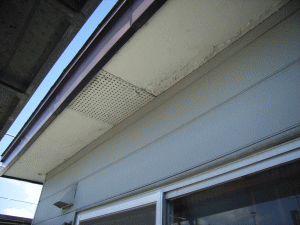 sindan-019.gif
