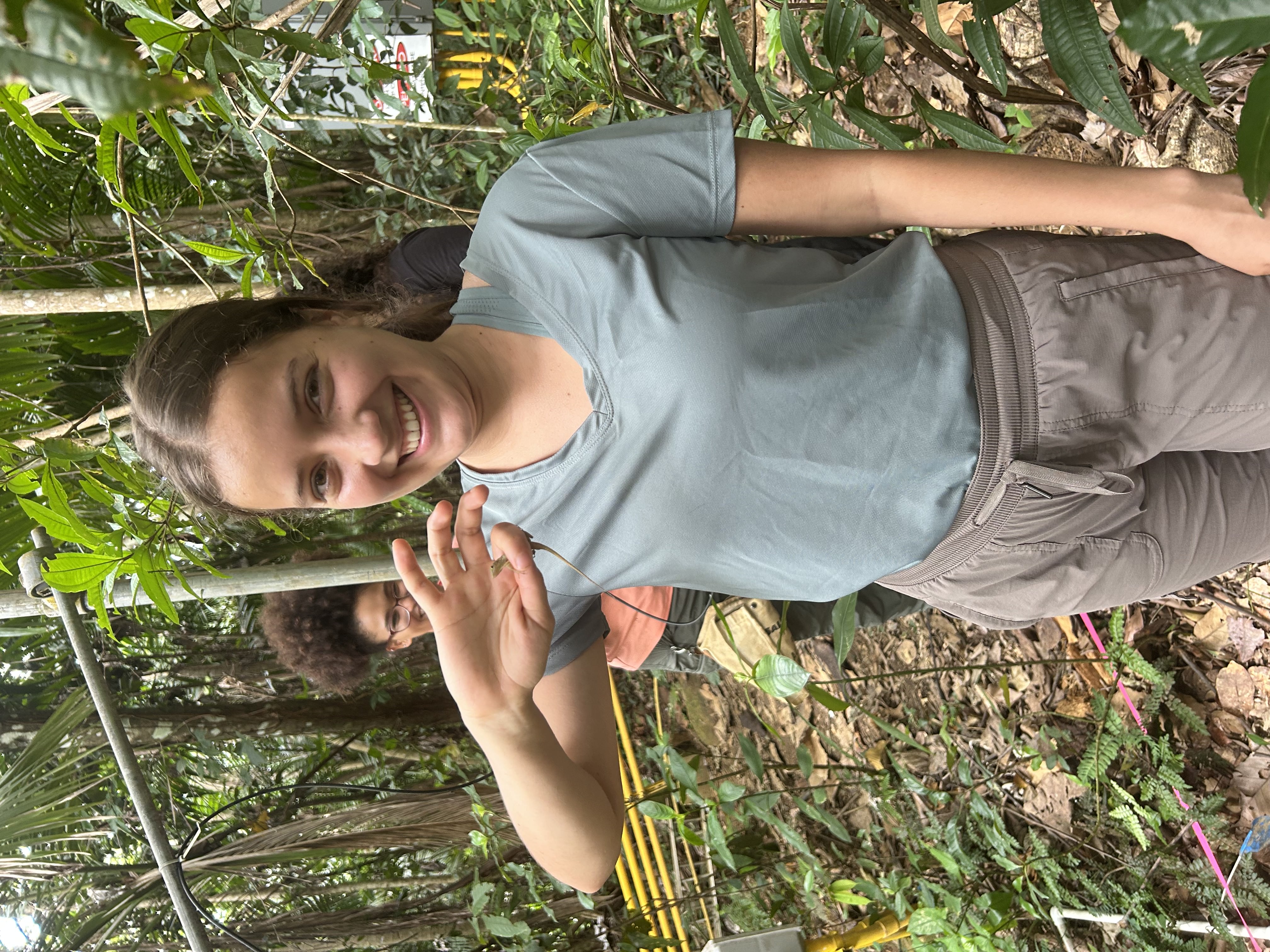 Writer: Sofía Brege