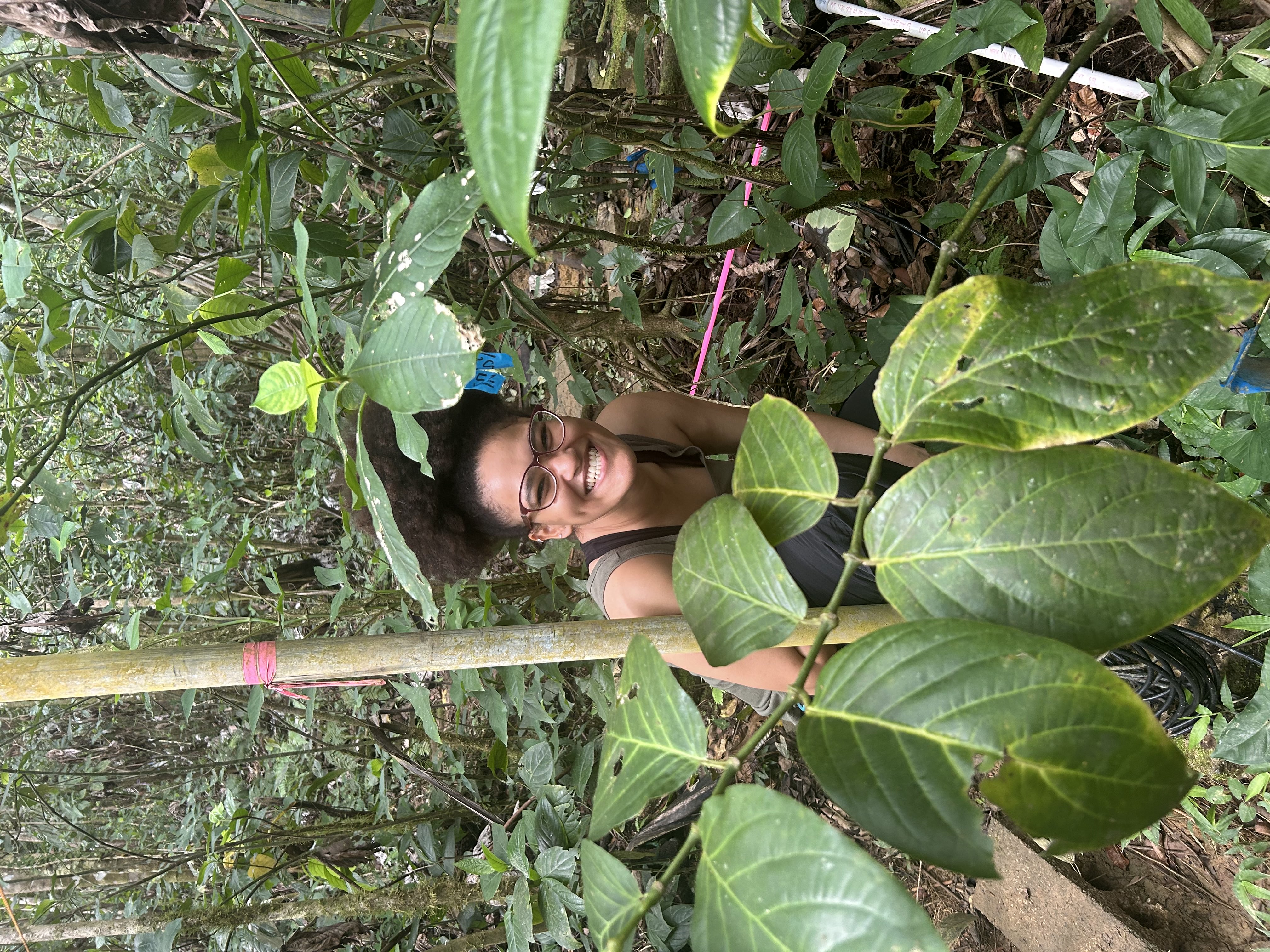 Foto del escritor: Daliz Casablanca Sánchez