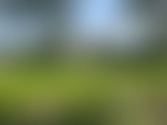 WHY SPRING IS THE PERFECT SEASON FOR A LANGUEDOC WINE TOUR