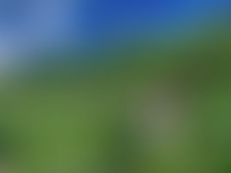 Short Story - Hotel Rafflesia