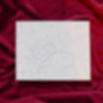 snoo themed canvas template