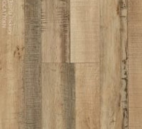 Ashtoria-Hickory-EVOCAT70KN-200x200_edited.jpg