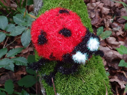 Juzi_ Coccinella_gestrickt_19