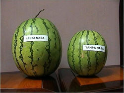 Buah Semangka Pupuk Nasa