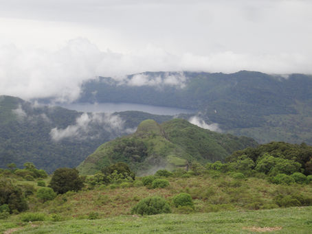 Monday, 2 February 2026