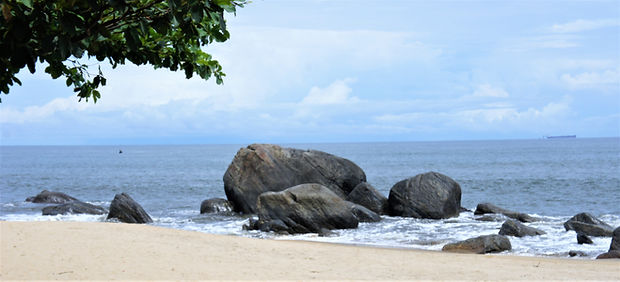 DSC04868 (2) (2018_02_20 16_53_42 UTC).JPG