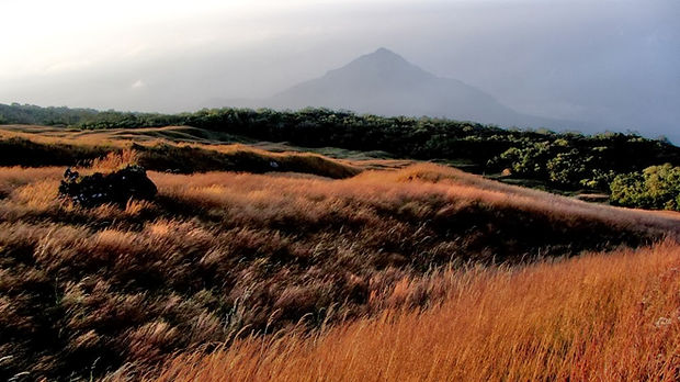 Mt. Cmr 5.JPG