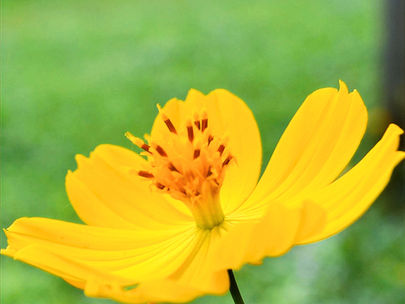 Dimanche 15 Mars 2026 ✝ ✝