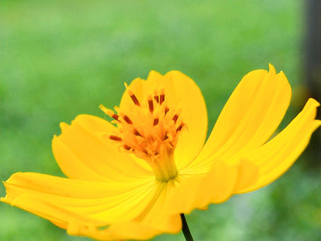 Thursday, 12 March 2026 ✝