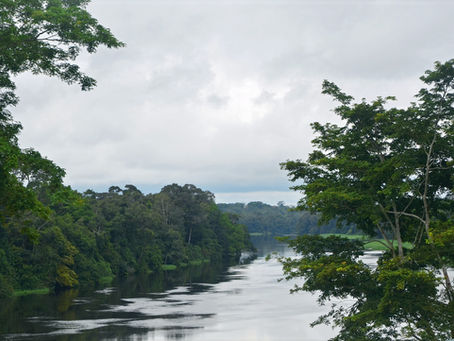 Sunday, 25 January 2026 ✝