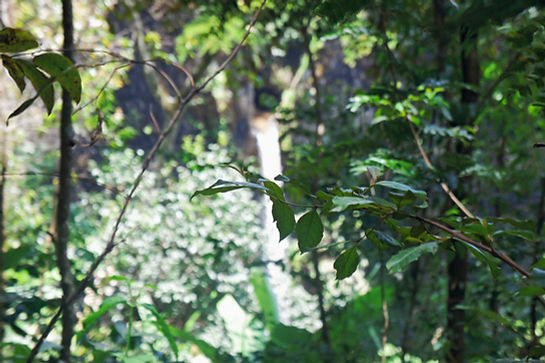 DSC08459 (2016_09_25 15_20_03 UTC)_edited.jpg