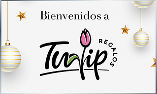 Anuncios Holiday - 20.png