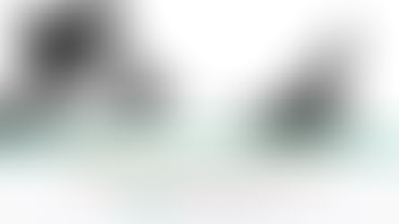 Rogue Landlords are Crooks Not Chancers