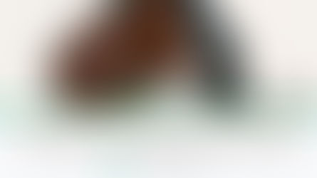 Labour Seeking Unlimited Fines for Rogue Landlords