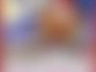 The 2016 market & Our future plans