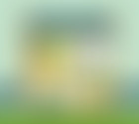 Legal Requirements for Large HMOs- A Guide for Landlords