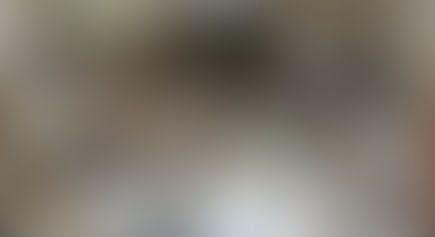 Party Tenants Trash Flat on New Year’s Eve